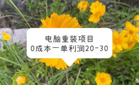 电脑系统重装项目,0成本一单利润20-30