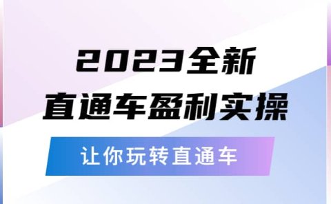 2023全新直通车·盈利实操：从底层，策略到搭建，让你玩转直通车