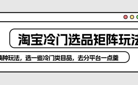 淘宝冷门选品矩阵玩法:换种玩法,选一些冷门类目品,去分平台一点羹