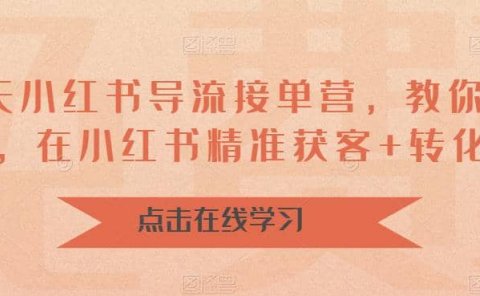 16天-小红书 导流接单营，教你引爆流量，在小红书精准获客+转化成交