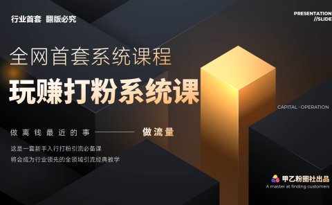 全网首套系统打粉课，日入3000+，手把手各行引流SOP团队实战教程
