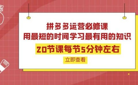 拼多多运营必修课：20节课每节5分钟左右，用最短的时间学习最有用的知识
