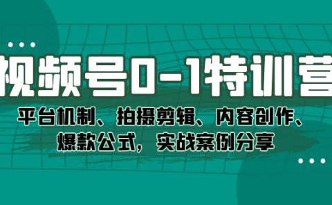 视频号0-1特训营：平台机制、拍摄剪辑、内容创作、爆款公式，实战案例分享