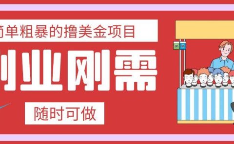 最简单粗暴的撸美金项目 会打字就能轻松赚美金