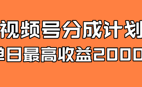 全新蓝海 视频号掘金计划 日入2000+