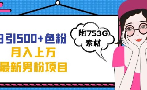 日引500+色粉轻松月入上万九月份最新男粉项目(附753G素材)