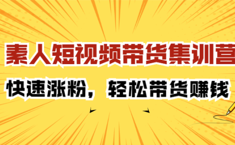 素人短视频带货集训营：快速涨粉，轻松带货赚钱