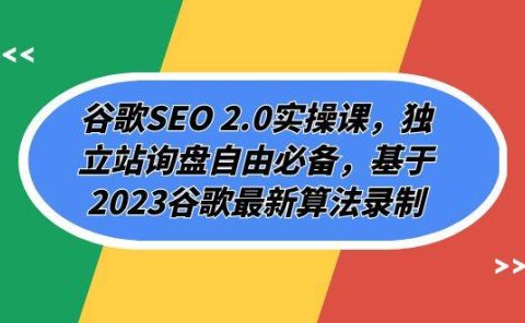 谷歌SEO 2.0实操课,独立站询盘自由必备,基于2023谷歌最新算法录制(94节