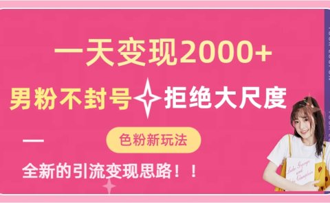一天收款2000元,男粉不封号拒绝大尺度-色粉全新的变现方法