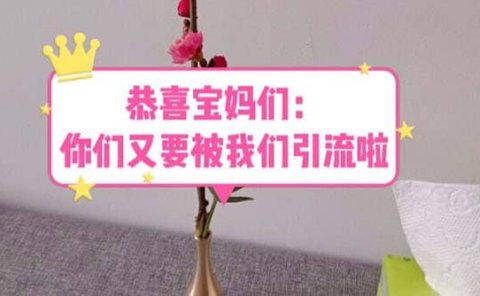 恭喜宝妈们:你们又要被我们引流了(教程+222g资料)