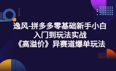 拼多多零基础新手小白入门到玩法实战《高溢价》异赛道爆单玩法实操课