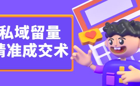 私域留量精准成交术，学习打造自己的私域流量，价值699元