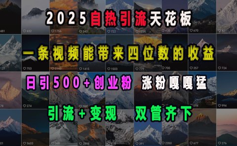 2025自热引流天花板，一条视频能带来四位数的收益，引流+变现双管齐下，日引500+创业粉，涨粉嘎嘎猛