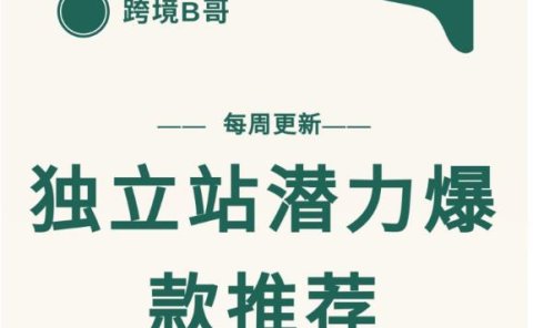 【跨境B哥】独立站潜力爆款选品推荐，测款出单率高达百分之80（每周更新）