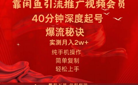 闲鱼暴力引流推广视频会员，能做到日入2W+，操作简单