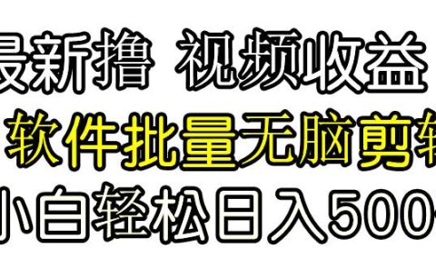 发视频撸收益,软件无脑批量剪辑,第一天发第二天就有钱