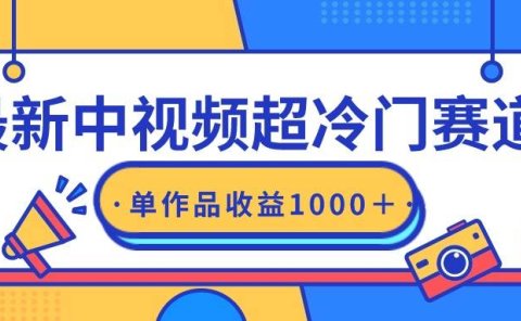 最新中视频超冷门赛道,轻松过原创,单条视频收益1000+