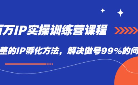 百万IP实战训练营课程,完整的IP孵化方法,解决做号99%的问题