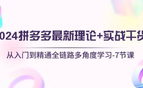 2024拼多多 最新理论+实战干货,从入门到精通全链路多角度学习-7节课