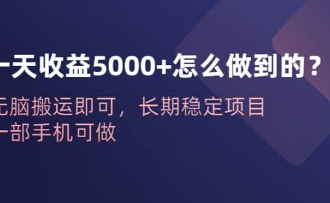 一天收益5000+怎么做到的?无脑搬运即可,长期稳定项目,一部手机可做