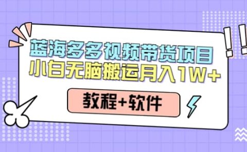 人人都能操作的蓝海多多视频带货项目 小白无脑搬运（教程+软件）