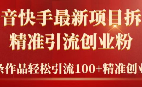 2024年抖音快手最新项目拆解视频引流创业粉,一天轻松引流精准创业粉100+