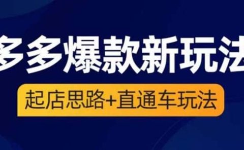 2023拼多多爆款·新玩法：起店思路+直通车玩法（3节精华课）