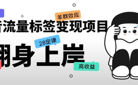抖音流量标签变现项目，抖音创业粉轻松转化，单价高收益简单