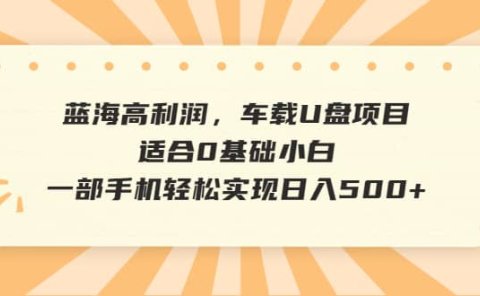 蓝海高利润,车载U盘项目,适合0基础小白,一部手机轻松实现日入500+