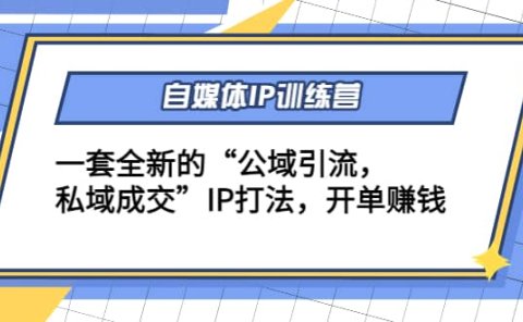 自媒体IP训练营(12+13期)一套全新的“公域引流,私域成交”IP打法