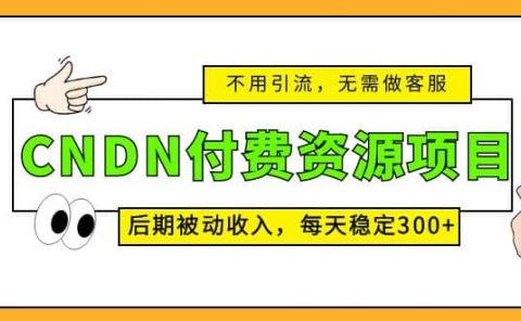 CNDN付费资源项目,不用引流,无需做客服,后期被动收入