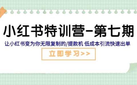 小红书特训营-第七期 让小红书变为你无限复制的/提款机 低成本引流快速出单