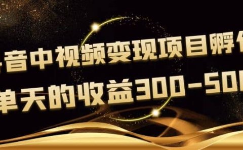 黄岛主《抖音中视频变现项目孵化》单天的收益300-500 操作简单粗暴