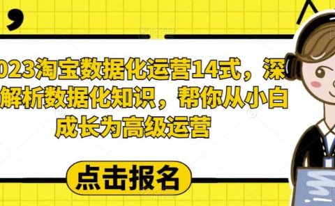 2023淘宝数据化-运营 14式,深度解析数据化知识,帮你从小白成长为高级运营