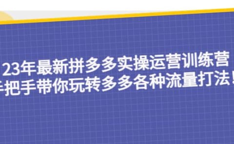 23年最新拼多多实操运营训练营：手把手带你玩转多多各种流量打法！