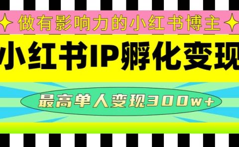 某收费培训-小红书IP孵化变现：做有影响力的小红书博主