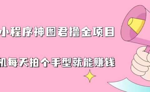 抖音小程序神图君撸金项目,用手机每天拍个手型挂载一下小程序就能赚钱