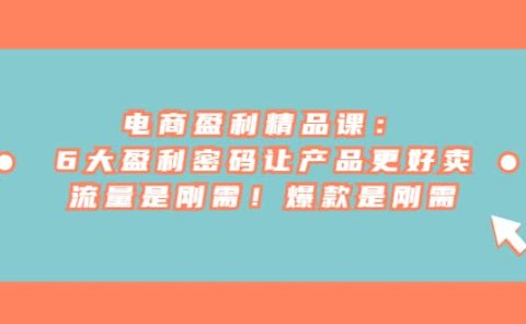 电商 盈利精品课:6大盈利 密码让产品更好卖,流量是刚需!爆款是刚需