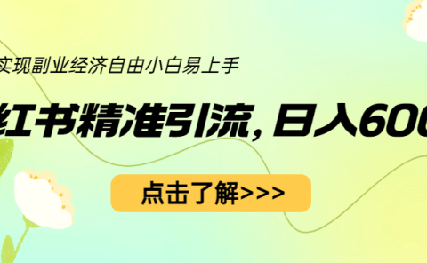 小红书精准引流，小白日入600+，轻松实现副业经济自由（教程+1153G资源）