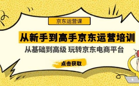 从新手到高手京东运营培训：从基础到高级 玩转京东电商平台(无水印)