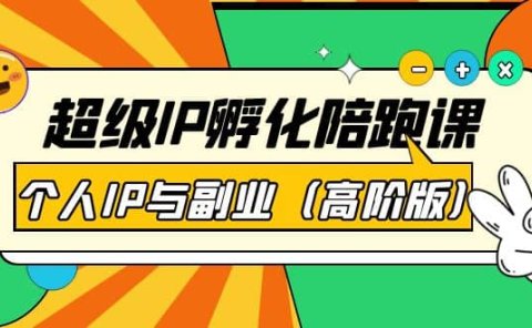 超级IP孵化陪跑课：个人IP与副业（高阶版）41节课