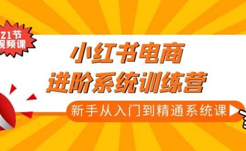 小红书电商进阶系统训练营：新手从入门到精通系统课（21节视频课）