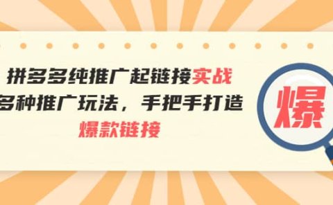 拼多多纯推广起链接实战：多种推广玩法，手把手打造爆款链接