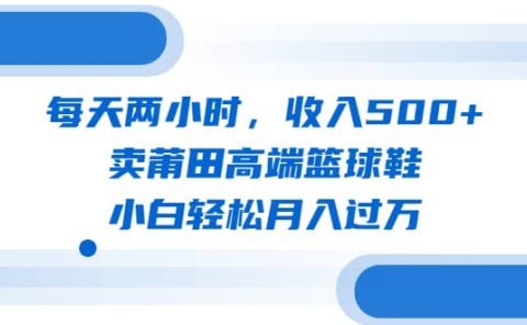 每天两小时,收入500+,卖莆田高端篮球鞋,小白轻松月入过万(教程+素材)