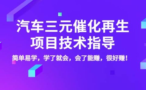 汽车三元催化再生项目技术指导，简单易学，学了就会，会了能赚，很好赚！