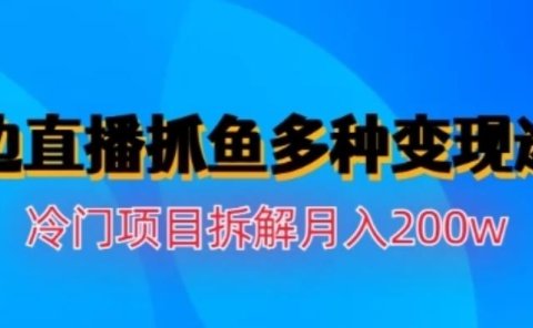 水边直播抓鱼,多种变现途径冷门项目,月入200w拆解【揭秘】