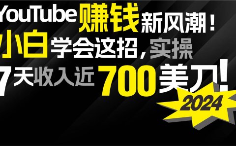 2024 YouTube赚钱新风潮!小白学会这招,7天收入近7百美金!