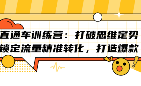 直通车训练营:打破思维定势,锁定流量精准转化,打造爆款