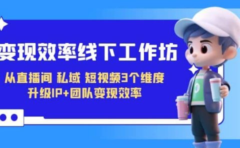 变现-效率线下工作坊，从直播间、私域、短视频3个维度 升级IP+团队变现效率