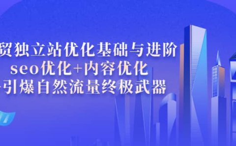 外贸独立站优化基础与进阶，seo优化+内容优化+引爆自然流量终极武器